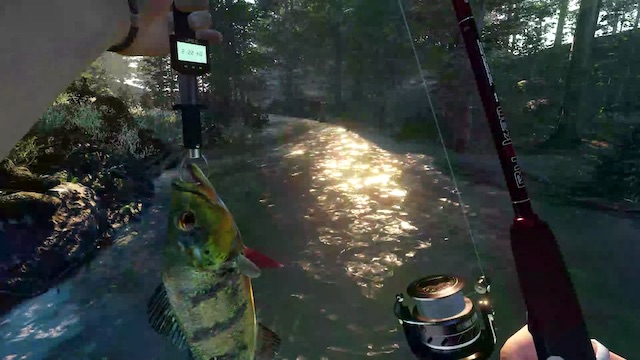Ultimate Fishing Simulator 2 – Beta Sign Up